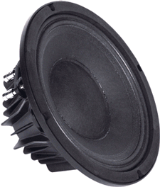 Faital Pro 10PR300 10" Speaker