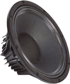 Faital Pro 12PR300 12" Speaker