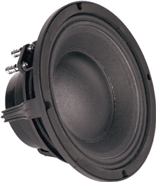 Faital Pro W10N8-700 10" Speaker