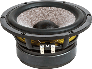 6 inch best sale 8 ohm speaker